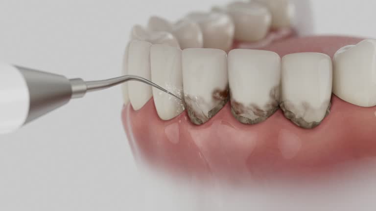 Reliable Dental contractor in Cannon AFB, NM by Dentist Open Now